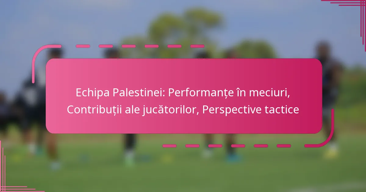 Echipa Palestinei: Performanțe în meciuri, Contribuții ale jucătorilor, Perspective tactice